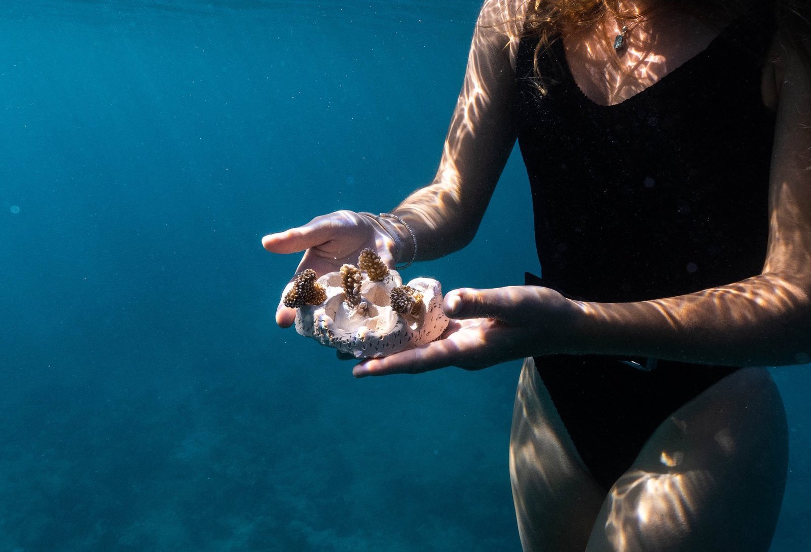 Get involved with Crafting Coral