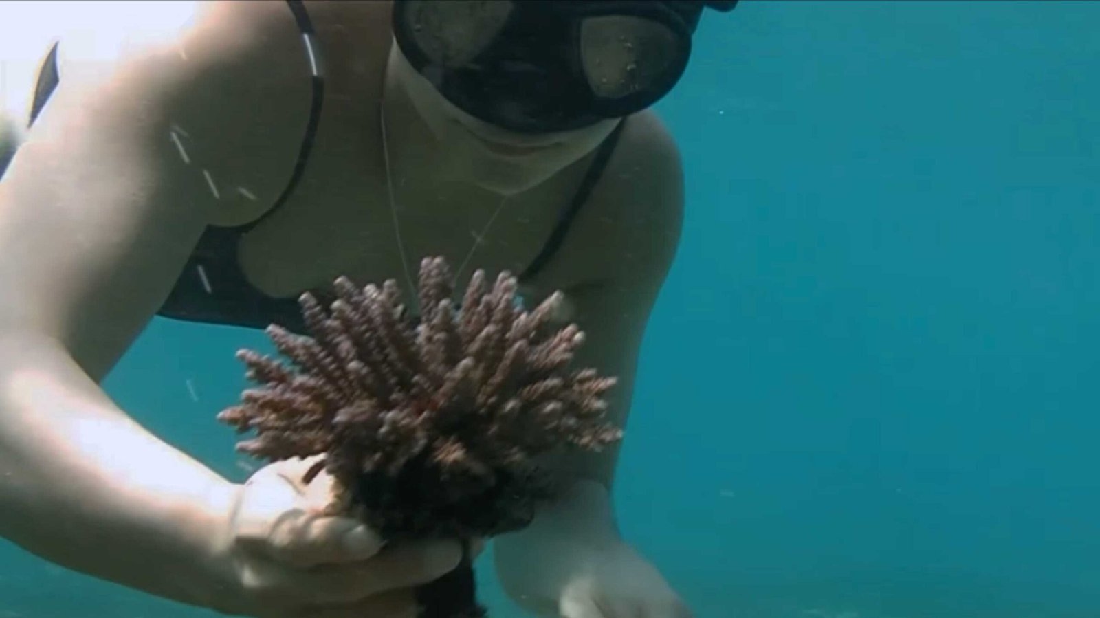 Crafting Coral workshop